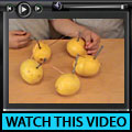 Make a Lemon Battery