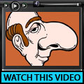 How Noses Work